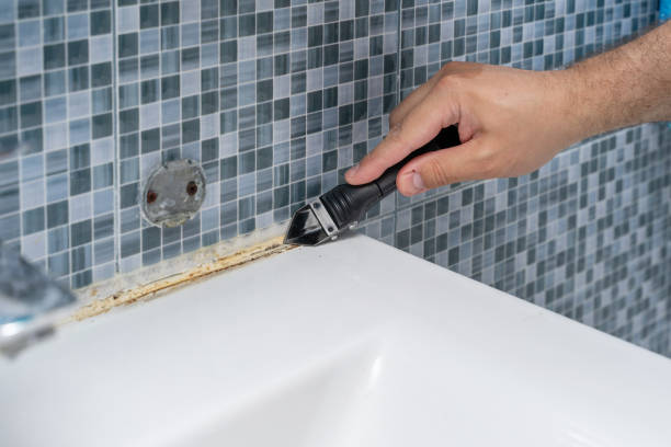 Best Office Mold Removal Services  in Jonesboro, GA