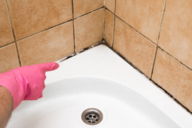 Certified Mold Removal in Jonesboro, GA